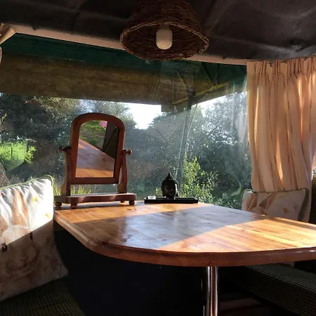 Holiday home Cozy Tiny House In Cork, Perfect For Vacations On The Emerald Isle