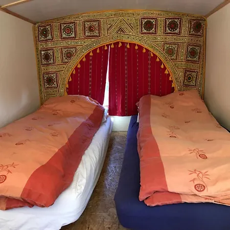 Cozy Tiny House In Cork, Perfect For Vacations On The Emerald Isle Holiday home